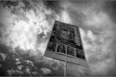 332886973_2064314730433169_2364430167881179084_n