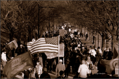 332931009_503004058689921_1613997849073693128_n