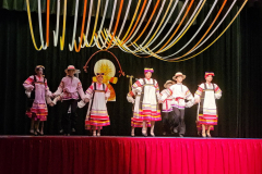 show5