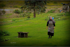 DSC_7625-NEW