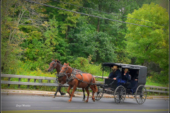 Амиши-на-_русской-дороге_