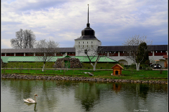 11-DSC_1157-2