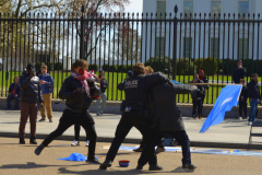 337024441_567827258656898_5189625298193574836_n