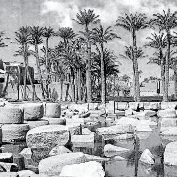 Египет Египет